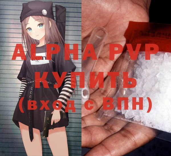 гашик Няндома