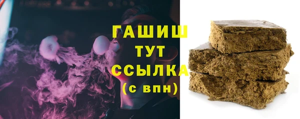 гашик Няндома