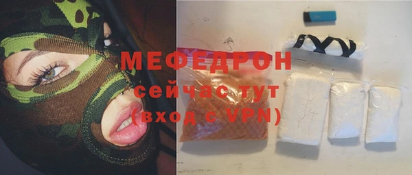 гашик Няндома