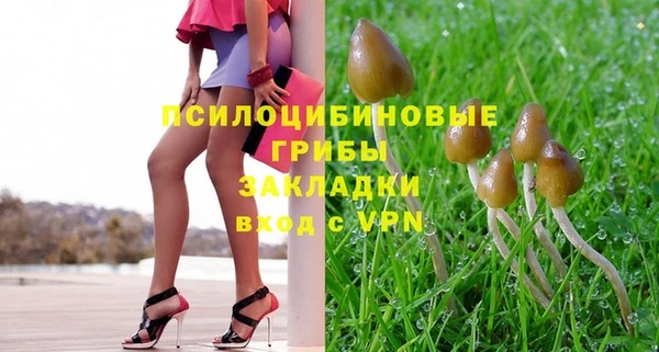 гашик Няндома