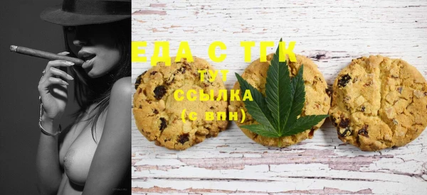 гашик Няндома