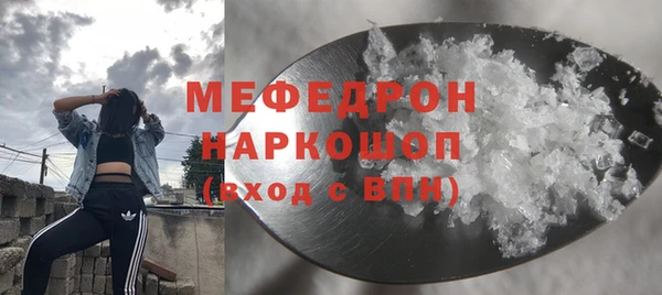 гашик Няндома