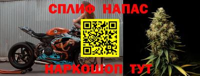 тгк Волгодонск