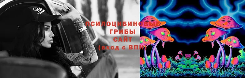 как найти наркотики  Барабинск  Псилоцибиновые грибы Psilocybe 