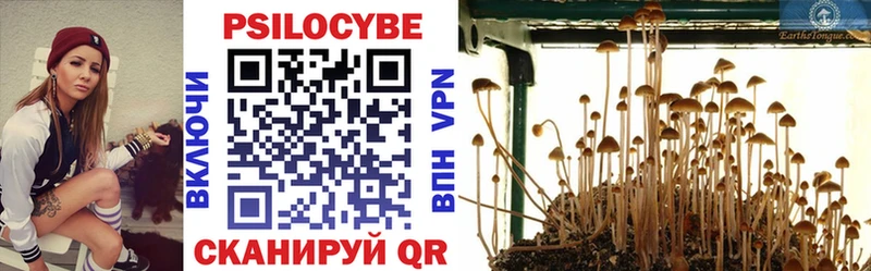 хочу   Барабинск  Псилоцибиновые грибы Psilocybe 