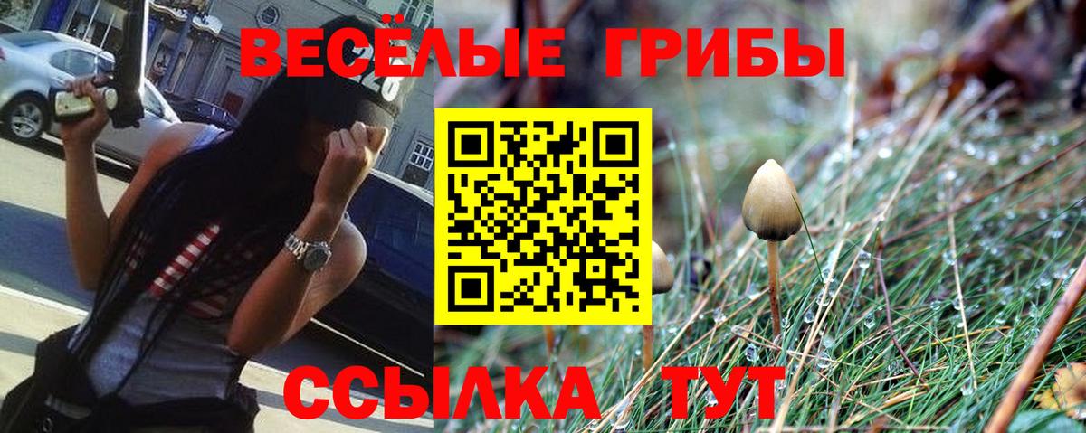Галлюциногенные грибы MAGIC MUSHROOMS  Вход с VPN  Барабинск 