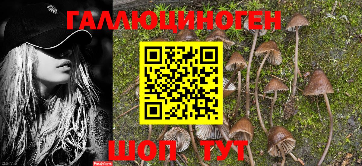 где найти   Псилоцибиновые грибы мухоморы  Барабинск  Галлюциногенные грибы мухоморы 